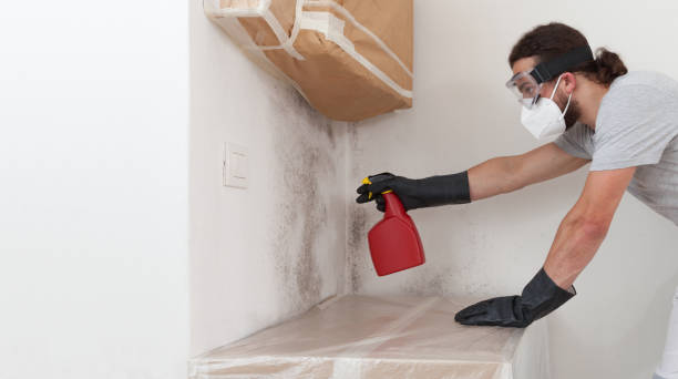 Professional Bathroom Mold Removal technician working in Islandia, NY